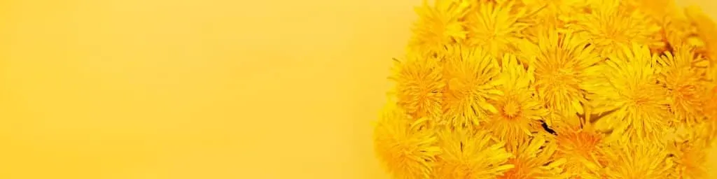 Tips for Creating an Effective LinkedIn Banner
